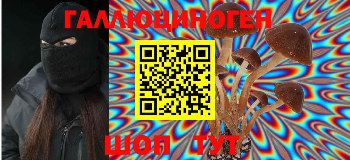 Псилоцибиновые грибы мухоморы  Вход с VPN  Гулькевичи 