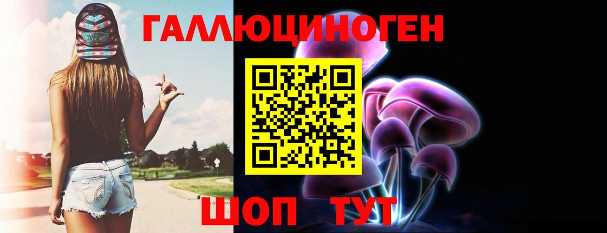 Галлюциногенные грибы Psilocybe Гулькевичи